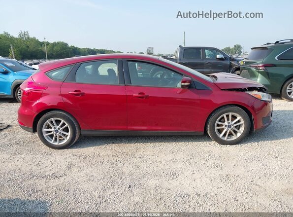 1FADP3K22HL313189 2017 FORD FOCUS Red Вид задньої частини салону