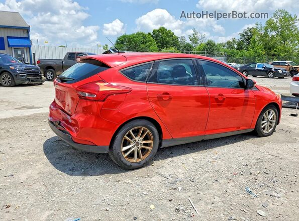 1FADP3K23GL309425 2016 FORD FOCUS Red უკანა მარჯვენა