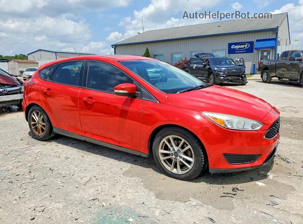 1FADP3K23GL309425 2016 FORD FOCUS Red წინა მარჯვენა