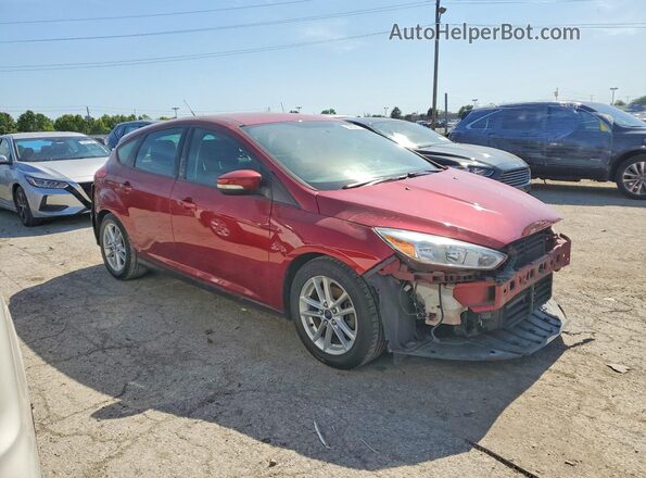 1FADP3K24GL251518 2016 FORD FOCUS Red Առջևի աջ
