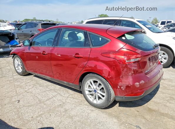 1FADP3K24GL251518 2016 FORD FOCUS Red Հետևի ձախ