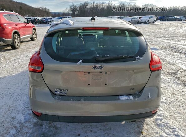 1FADP3K25GL347464 2016 FORD FOCUS Beige Vista trasera