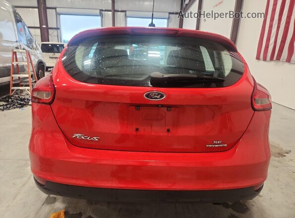 1FADP3K25GL376785 2016 FORD FOCUS Red Вид ззаду
