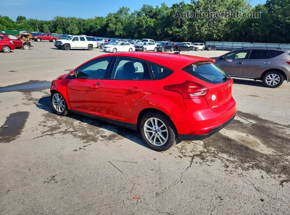 1FADP3K26HL313034 2017 FORD FOCUS Burgundy Задня ліва чверть