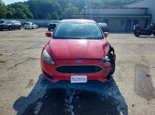 1FADP3K26HL313034 2017 FORD FOCUS Burgundy Вид спереду