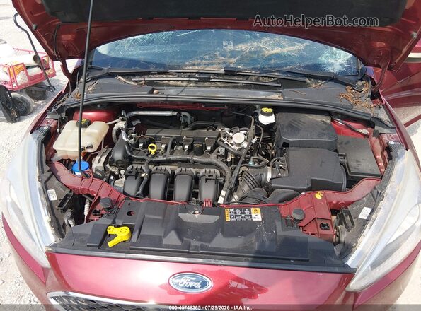 1FADP3K26HL347801 2017 FORD FOCUS Red უკანა ხედი