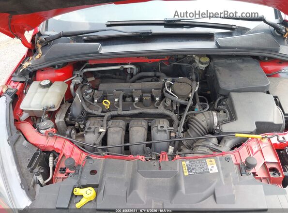 1FADP3K28GL229361 2016 FORD FOCUS Красный Вид сзади