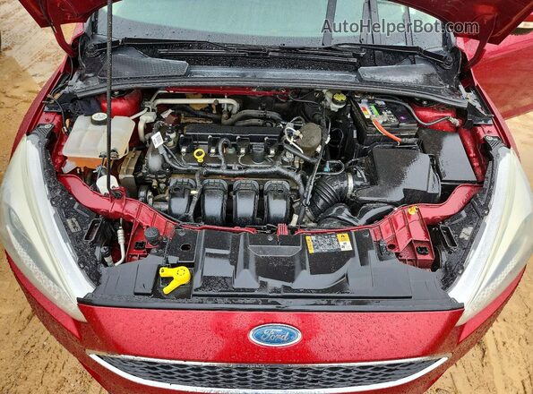 1FADP3K29GL232088 2016 FORD FOCUS Red Widok wnętrza z tyłu
