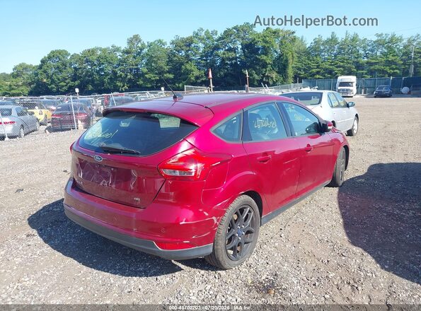 1FADP3K29GL240630 2016 FORD FOCUS Red უკანა მარჯვენა