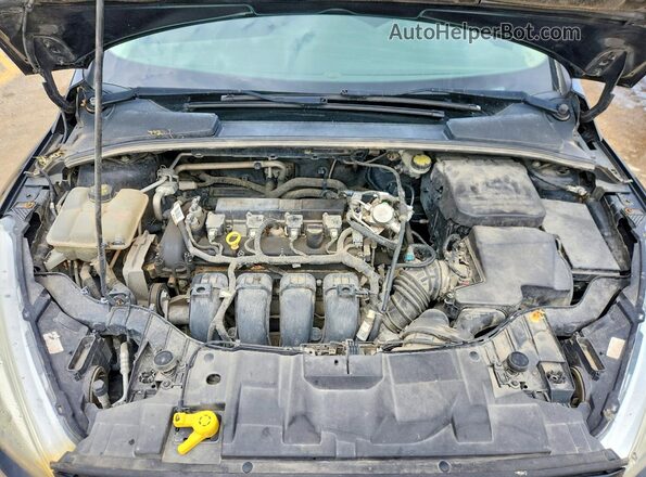 1FADP3K2XGL253418 2016 FORD FOCUS Black უკანა სალონის ხედი