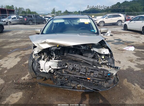 1FADP3M21HL294972 2017 FORD FOCUS Gold Widok wnętrza z tyłu