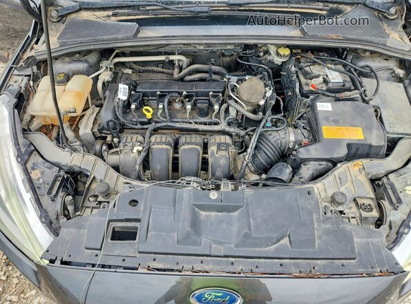 1FADP3N26GL299338 2016 FORD FOCUS Серый Вид задней части салона