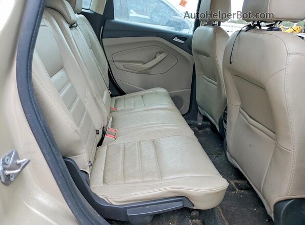 1FADP5FU1HL101956 2017 FORD C-MAX Желто-коричневый Вид задних сидений