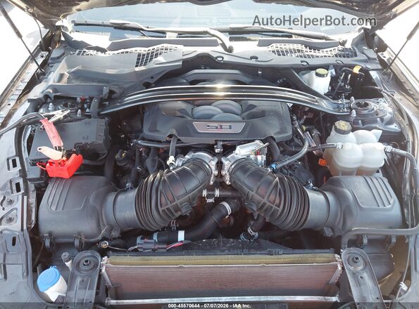 1FAGP8FF3R5103097 2024 FORD MUSTANG Black Widok z tyłu