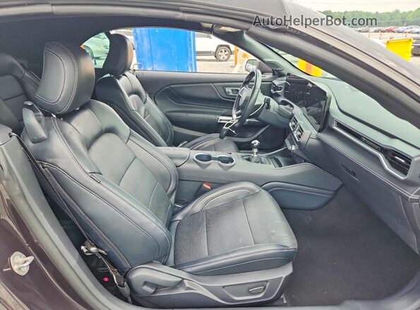 1FAGP8FF4R5135279 2024 FORD MUSTANG Угольный Вид задней части салона