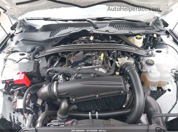 1FAGP8UH3S5108763 2025 FORD MUSTANG White Widok z tyłu