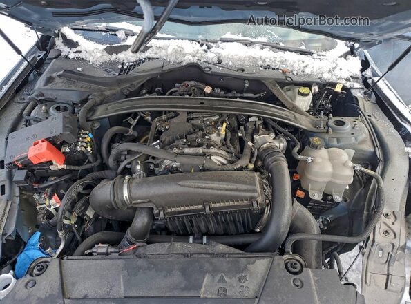 1FAGP8UH4R5103386 2024 FORD MUSTANG Teal Սալոնի հետևի տեսք