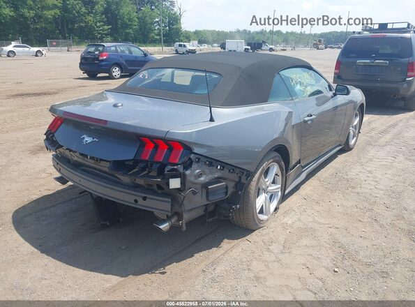 1FAGP8UH4T5113360 2026 FORD MUSTANG Gray უკანა მარჯვენა