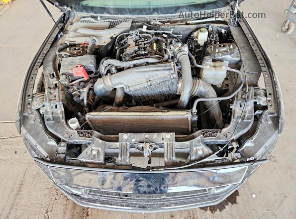 1FAGP8UH6R5120075 2024 FORD MUSTANG Black Սալոնի հետևի տեսք