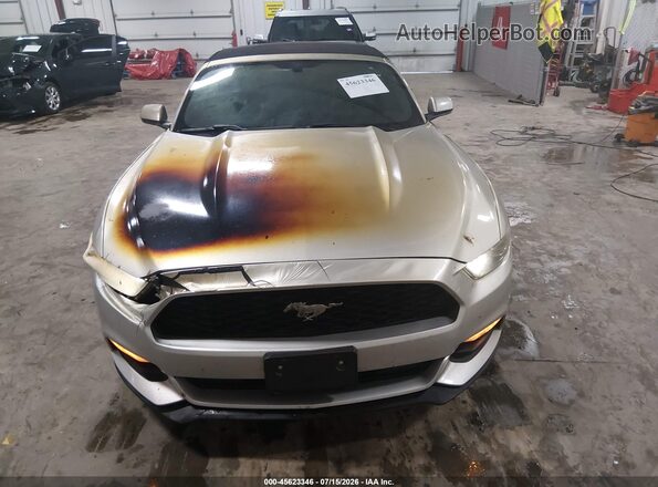 1FATP8EM1G5295485 2016 FORD MUSTANG Brown Front view