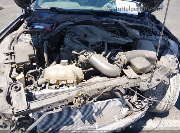 1FATP8EM2G5238387 2016 FORD MUSTANG Gray Rear view