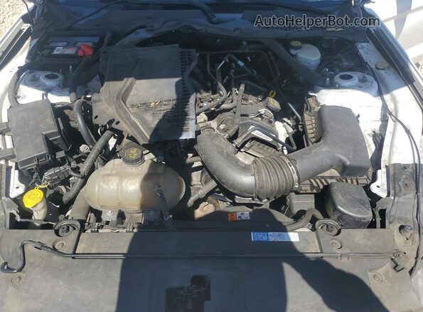 1FATP8EM4G5334702 2016 FORD MUSTANG Белый Вид задней части салона