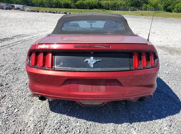 1FATP8EM6G5257623 2016 FORD MUSTANG Red Widok z tyłu