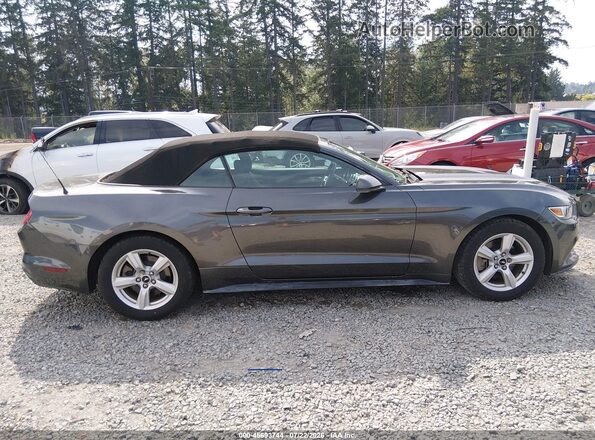 1FATP8EM6H5303095 2017 FORD MUSTANG Gray Սալոնի հետևի տեսք