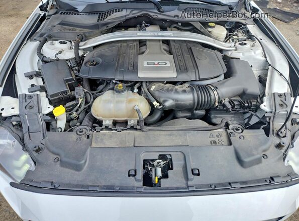 1FATP8FF6K5104393 2019 FORD MUSTANG White Vista interior trasera