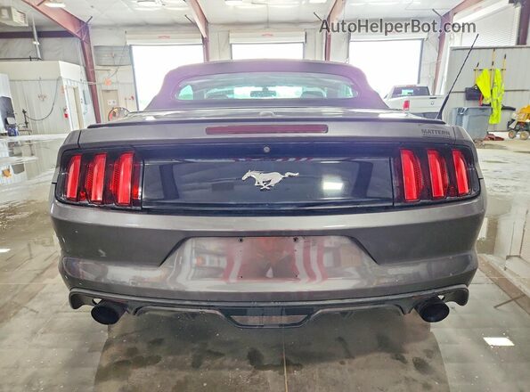 1FATP8UH1G5291702 2016 FORD MUSTANG Gray უკანა ხედი
