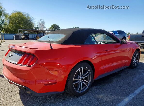 1FATP8UH1H5307947 2017 FORD MUSTANG Red Հետևի աջ