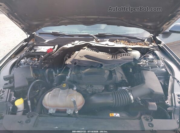 1FATP8UH1H5324280 2017 FORD MUSTANG Gray Widok z tyłu