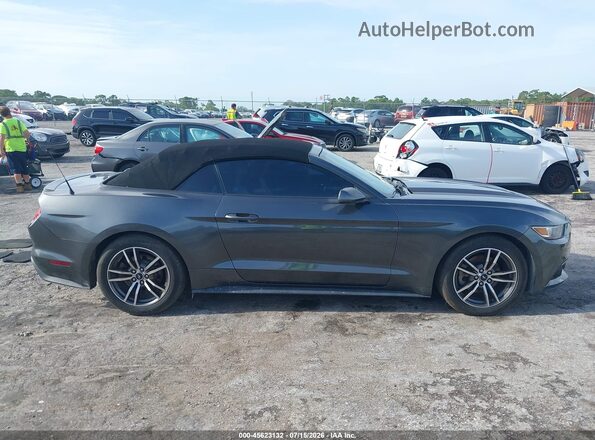 1FATP8UH1H5324280 2017 FORD MUSTANG Gray Widok wnętrza z tyłu