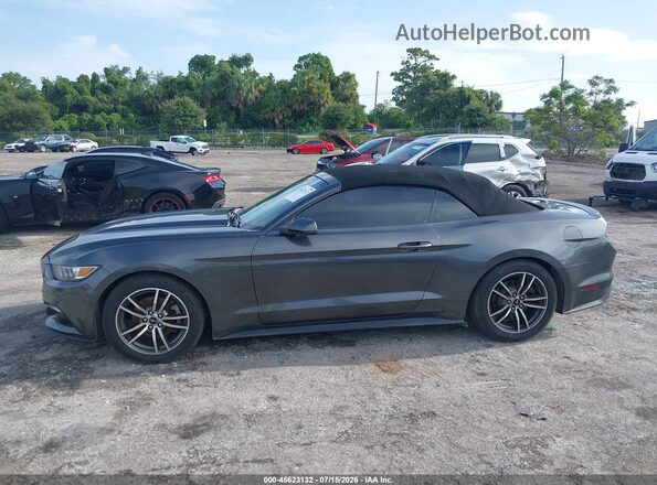 1FATP8UH1H5324280 2017 FORD MUSTANG Gray Widok wnętrza 360 stopni
