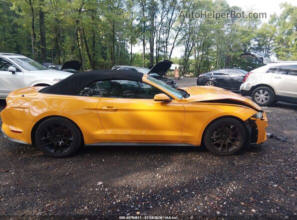 1FATP8UH1K5188823 2019 FORD MUSTANG Orange Vista interior trasera