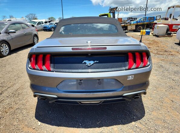 1FATP8UH1P5110503 2023 FORD MUSTANG Charcoal Вид ззаду