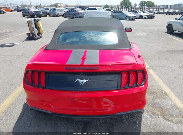 1FATP8UH2K5205371 2019 FORD MUSTANG Red 