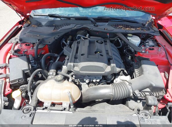 1FATP8UH2K5205371 2019 FORD MUSTANG Red უკანა ხედი