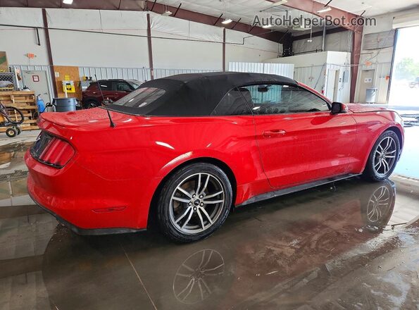 1FATP8UH3G5217178 2016 FORD MUSTANG Red Հետևի աջ
