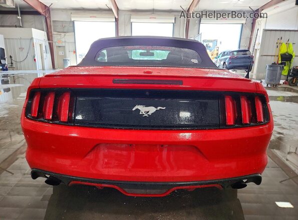 1FATP8UH3G5217178 2016 FORD MUSTANG Red Հետևի տեսք