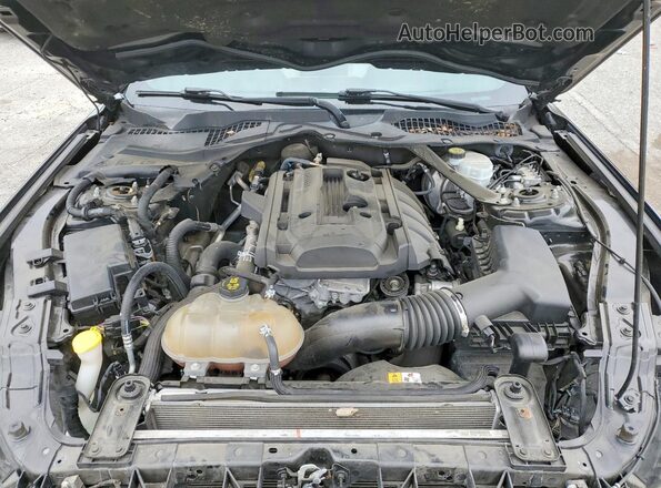 1FATP8UH3J5115094 2018 FORD MUSTANG Black უკანა სალონის ხედი