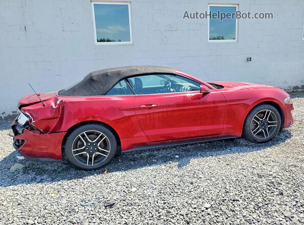 1FATP8UH3K5116263 2019 FORD MUSTANG Red Trasero derecho