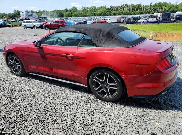 1FATP8UH3K5116263 2019 FORD MUSTANG Red Trasero izquierdo