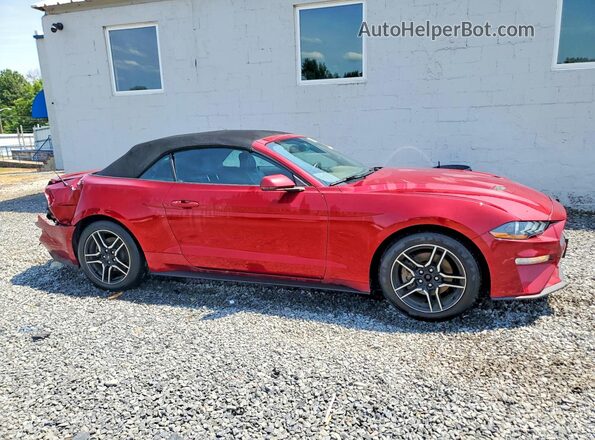 1FATP8UH3K5116263 2019 FORD MUSTANG Red Delantero derecho
