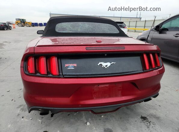 1FATP8UH4G5260492 2016 FORD MUSTANG Red Widok z tyłu