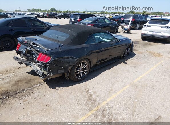 1FATP8UH4H5295308 2017 FORD MUSTANG Black Задня права чверть