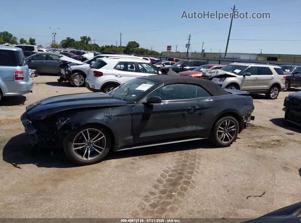 1FATP8UH4H5295308 2017 FORD MUSTANG Black Панорамний вид салону 360°