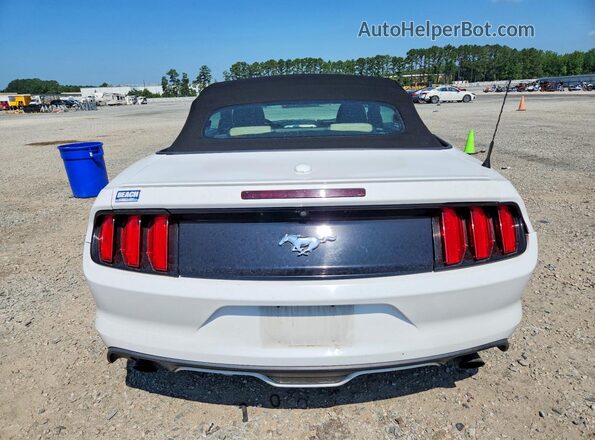 1FATP8UH4H5324273 2017 FORD MUSTANG White Rear view