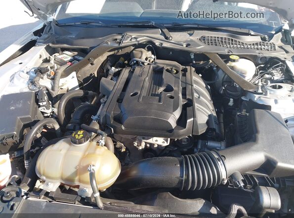 1FATP8UH4K5162300 2019 FORD MUSTANG Gray Vista trasera