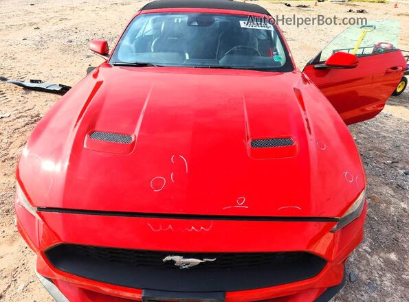 1FATP8UH4M5111124 2021 FORD MUSTANG Red Widok wnętrza z tyłu